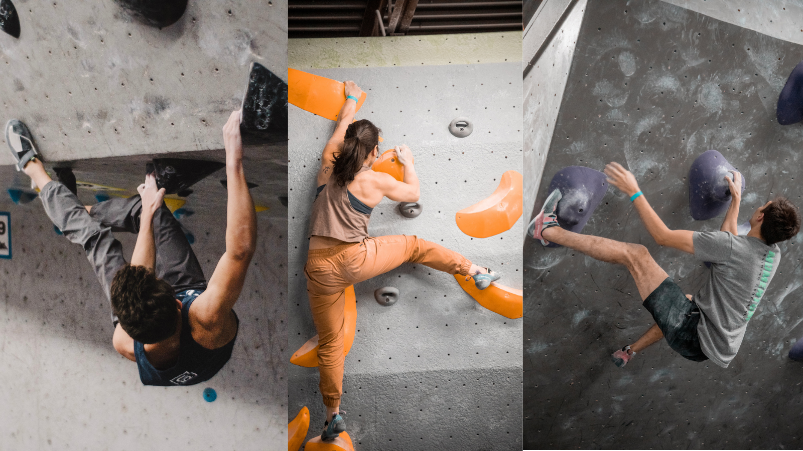 Climbing Against Cancer How an Annual Event is Supporting Investigator